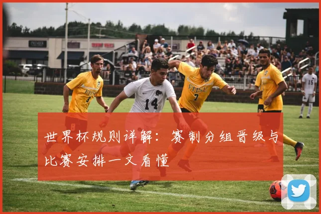 世界杯规则详解:赛制分组晋级与比赛安排一文看懂