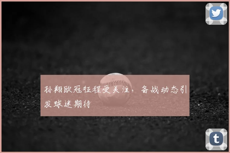 孙翔欧冠征程受关注,备战动态引发球迷期待